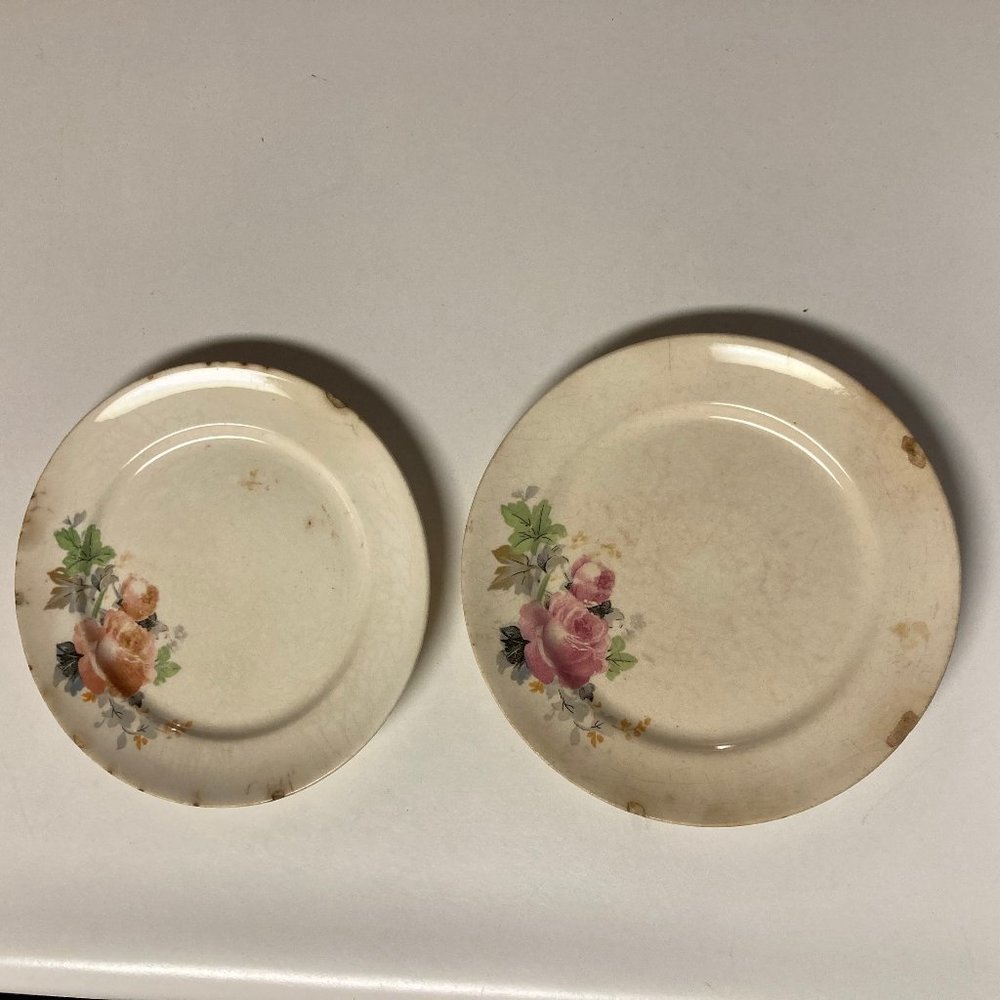 Vintage Salad Plates (2) 6 Inches with Pink & Blue Flowers / Roses